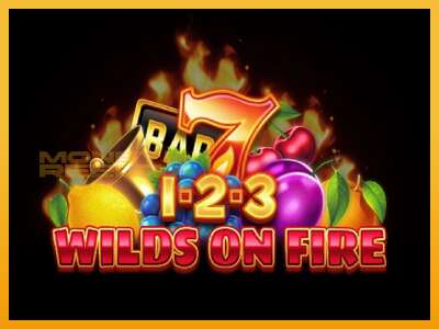 1-2-3 Wilds on Fire