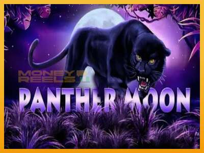 Panther Moon