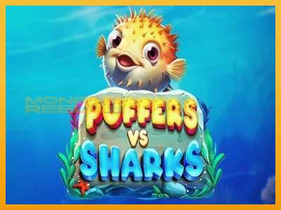 Puffers Vs Sharks