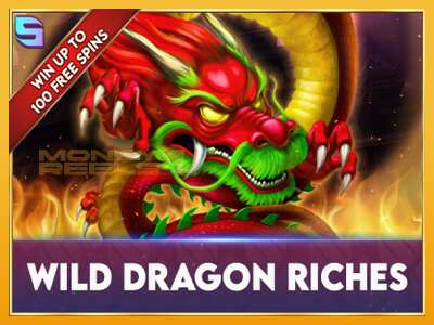 Wild Dragon Riches