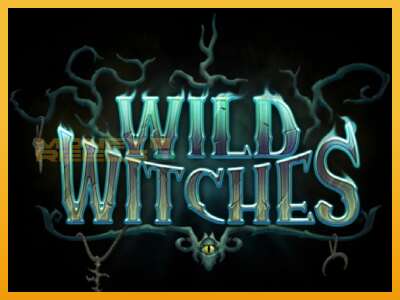 Wild Witches