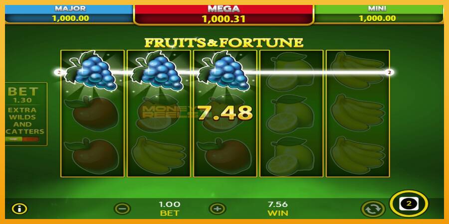 Fruits & Fortune automat za igre na sreću, slika 5