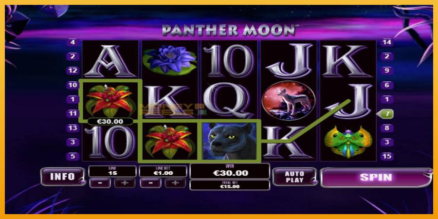 Panther Moon automat za igre na sreću, slika 2