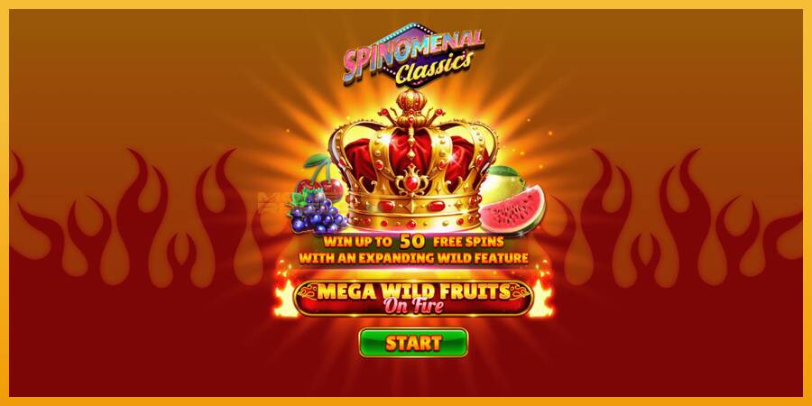 Mega Wild Fruits - On Fire automat za igre na sreću, slika 1