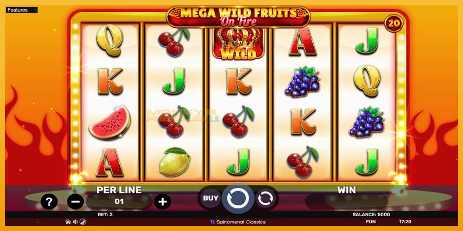 Mega Wild Fruits - On Fire automat za igre na sreću, slika 2