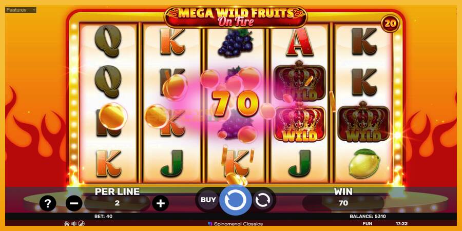 Mega Wild Fruits - On Fire automat za igre na sreću, slika 4