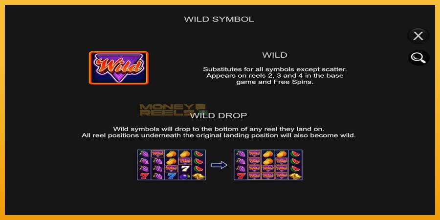 Wild Drop Multiplier automat za igre na sreću, slika 6