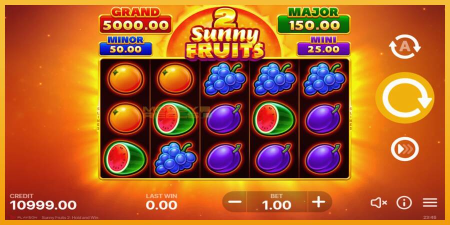 Sunny Fruits 2: Hold and Win automat za igre na sreću, slika 2