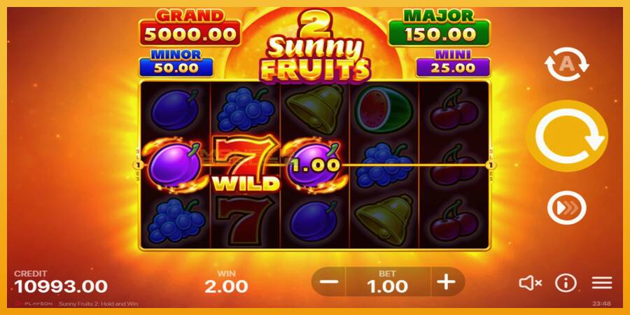 Sunny Fruits 2: Hold and Win automat za igre na sreću, slika 3