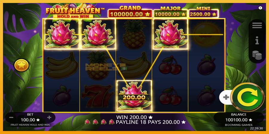 Fruit Heaven Hold and Win automat za igre na sreću, slika 3