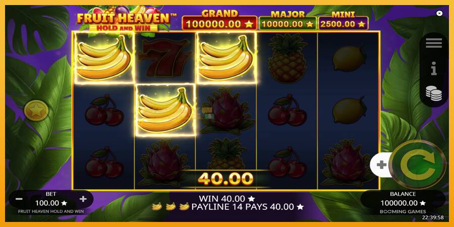 Fruit Heaven Hold and Win automat za igre na sreću, slika 4