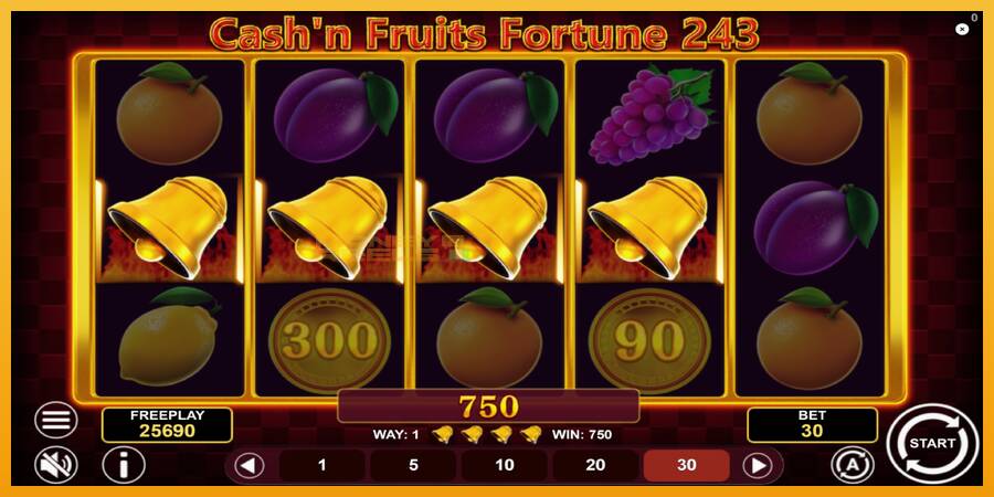 Cashn Fruits Fortune 243 automat za igre na sreću, slika 5